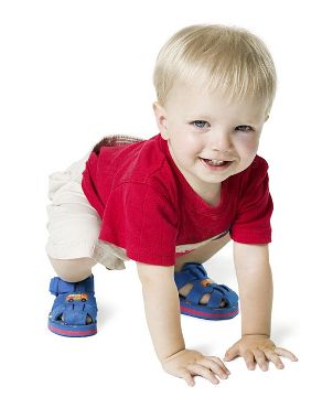 Cute toddler ready to play in his playpen