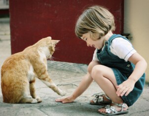 Girl playing with her pet cat with a cat cage nearby