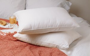 Two brand new down filled pillows