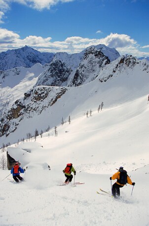 Skiers on a slope with downhill ski gear
