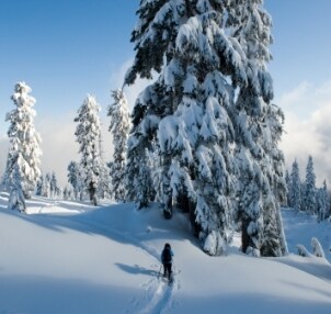 Snowshoer enjoying solitude in a winter landscape