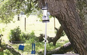 Camping with a Coleman lantern