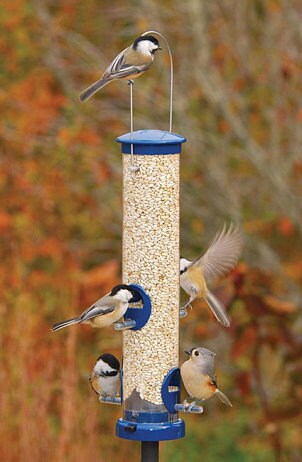 Birdfeeder covered with birds