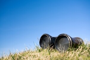 Binoculars abandoned in the grass