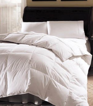 100823_duvet.jpg
