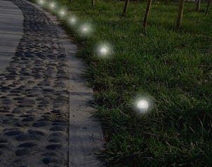 Solar garden lights illuminate cobbled path