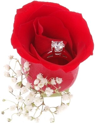 A stunning solitaire cubic zirconia engagement ring in a red rose