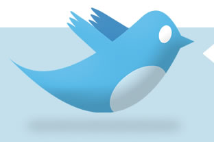 twitter bird logo